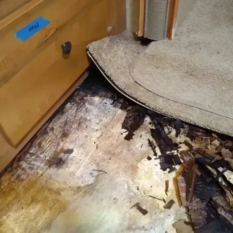 Best Wood Floor Water Damage Service in Frisco, CO